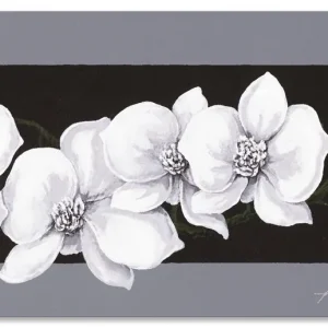 Weiße Orchideen T3KF Wandbild Wochenendangebot