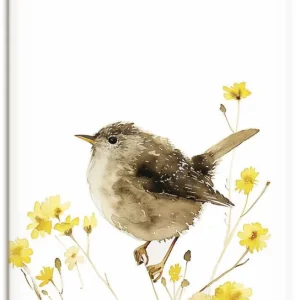 Sofort Bestellen Aquarell Zaunkönig Wandbild