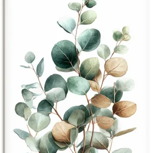 Eukalyptus Wandbild Sonderangebot