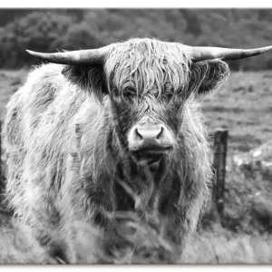 Zertifiziert Happy Highland Wandbild