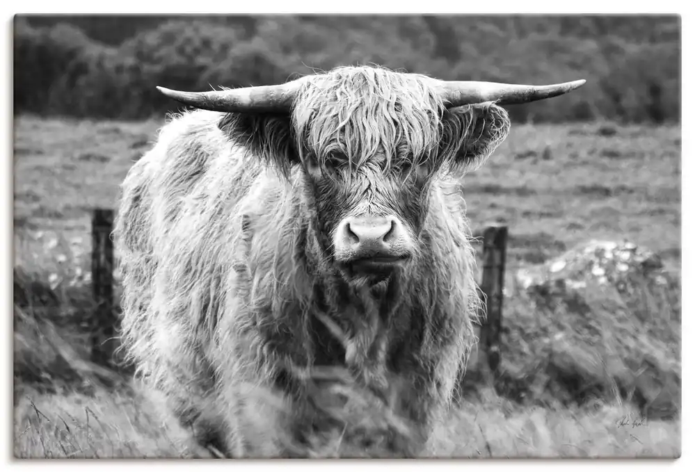 Zertifiziert Happy Highland Wandbild