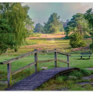 Sonderangebot Lüneburger Heide U4VT Wandbild