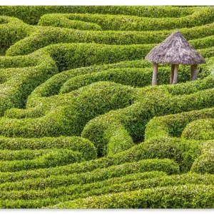 Sofort Bestellen Labyrinth im Glendurgan Garden, England U4XU Wandbild