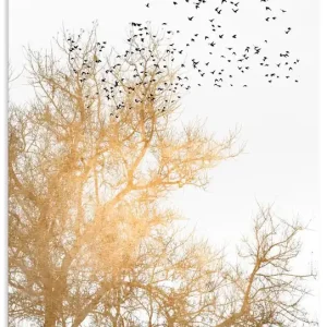 Goldener Himmel U3WF Wandbild Expressversand