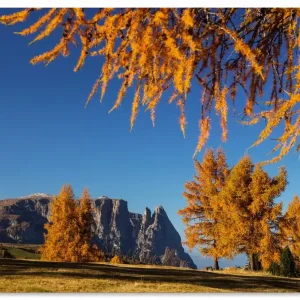 Goldener Herbst auf der Seiser Alm U3KX Wandbild Begrenztes Angebot