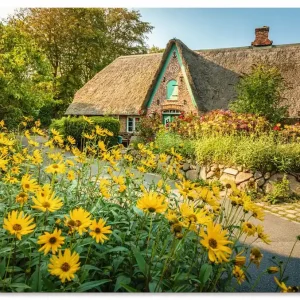 Historischer Hof mit Bauerngarten Keitum U3SY Wandbild Neuheit