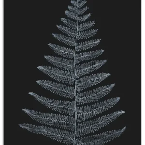 Botanica Minimalistica U3VO Wandbild Markenprodukt