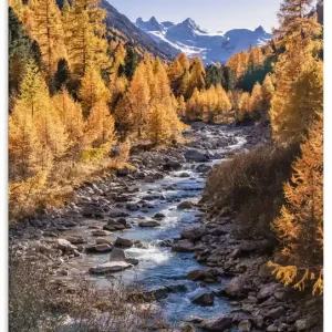 Solange Der Vorrat Reicht Herbst im Oberengadin U3VD Wandbild