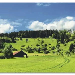 Schneller Versand Traumhafte Landschaft im Schwarzwald U2NG Wandbild