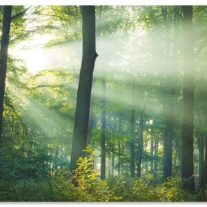 Billig Licht im Wald U1VX Wandbild