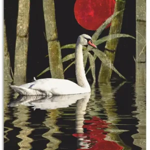 Expressversand Blutmond über dem Schwanensee U2AN Wandbild