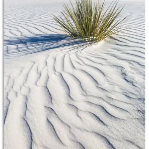 Dünen White Sands U1ZT Wandbild Sonderaktion