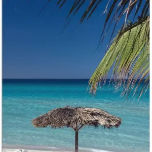 Direktkauf Sonnenschirm am Strand S8YK Wandbild