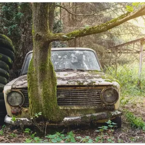 Heißes Angebot Lost Places - Rostlaube Lada- verlassen T9SX Wandbild