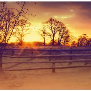 Sonnenaufgang im Februar S9DS Wandbild Schneller Versand
