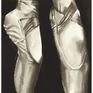 Billig Balletschuhe II T2WU Wandbild