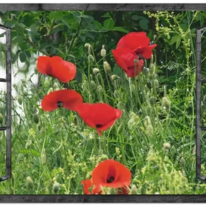 Fensterblick - Klatschmohn S8PR Wandbild Preisreduziert