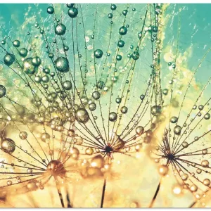 Beliebt Pusteblume Tropfenmagie T0PL Wandbild