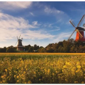 Geprüft Die Mühlen von Greetsiel R5MO Wandbild