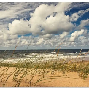 Strand Paal 17 02 T1OM Wandbild Abverkauf