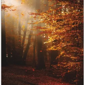 Garantierte Lieferung Sonnenaufgang im Herbst T1ST Wandbild