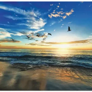 Strand Möwen Meer Sonnenuntergang S7TE Wandbild Neu