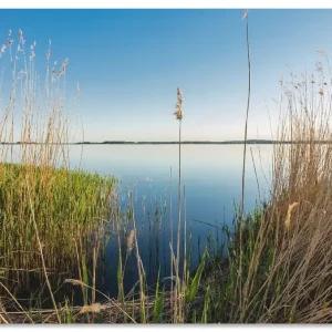Achterwasser Insel Usedom S7RR Wandbild Rabatt