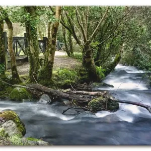 Heißes Angebot Wilde Wasser S9CI Wandbild