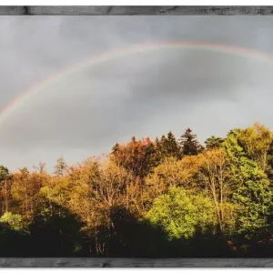 Fensterblick - Regenbogen S8TC Wandbild Zertifiziert