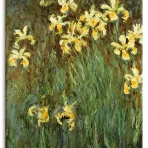 Versand Am Gleichen Tag Gelbe Iris. R1PG Wandbild