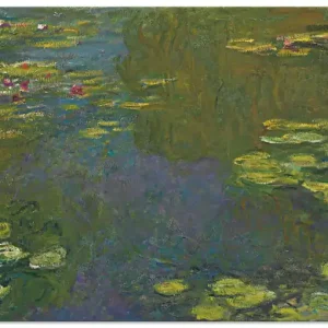 Der Seerosenteich Le bassin aux nympheas R1XU Wandbild Angebot