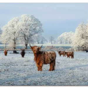 Winterhart Wandbild Expressversand