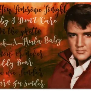 Elvis Star U3HW Wandbild Preiswert
