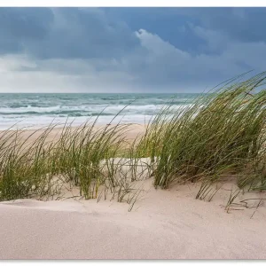 Preiswert Düne und Strand bei Hirtshals Dänemark I U3QK Wandbild