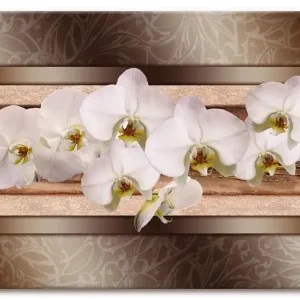 Sonderangebot Weiße Orchideen mit goldenen Vierecken S6CO Wandbild