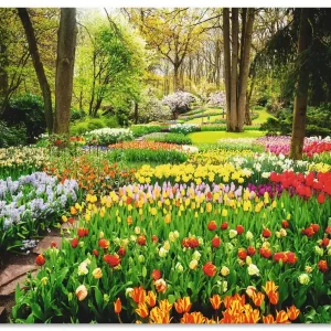 Tulpen Garten Frühling U1RC Wandbild Versand Am Gleichen Tag
