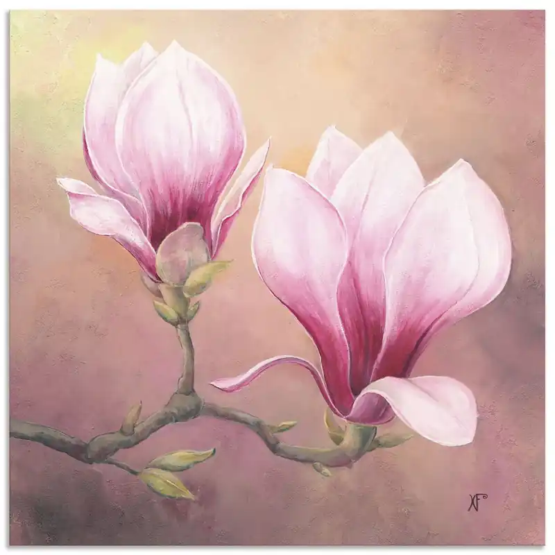 Späte Magnolie T4WV Wandbild Super-Preis