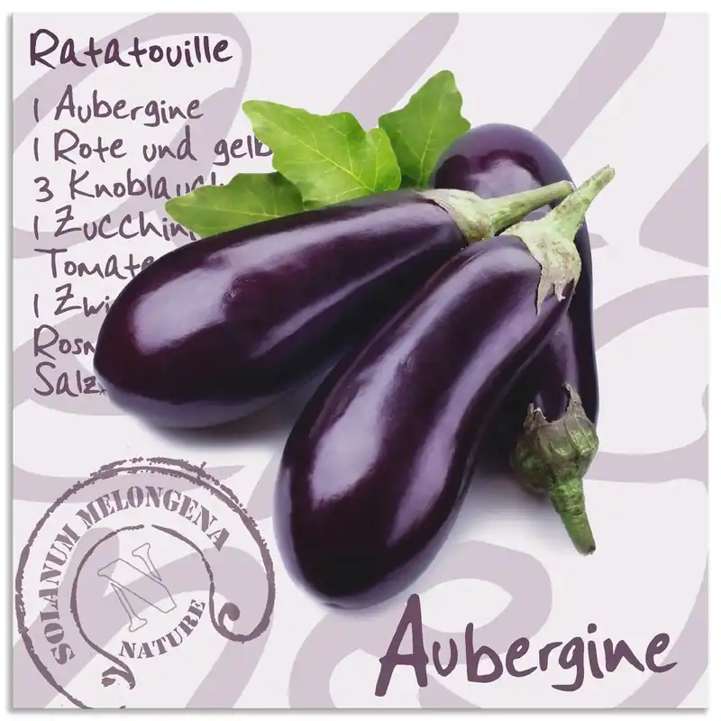 Aubergine T5YL Wandbild Preisknaller