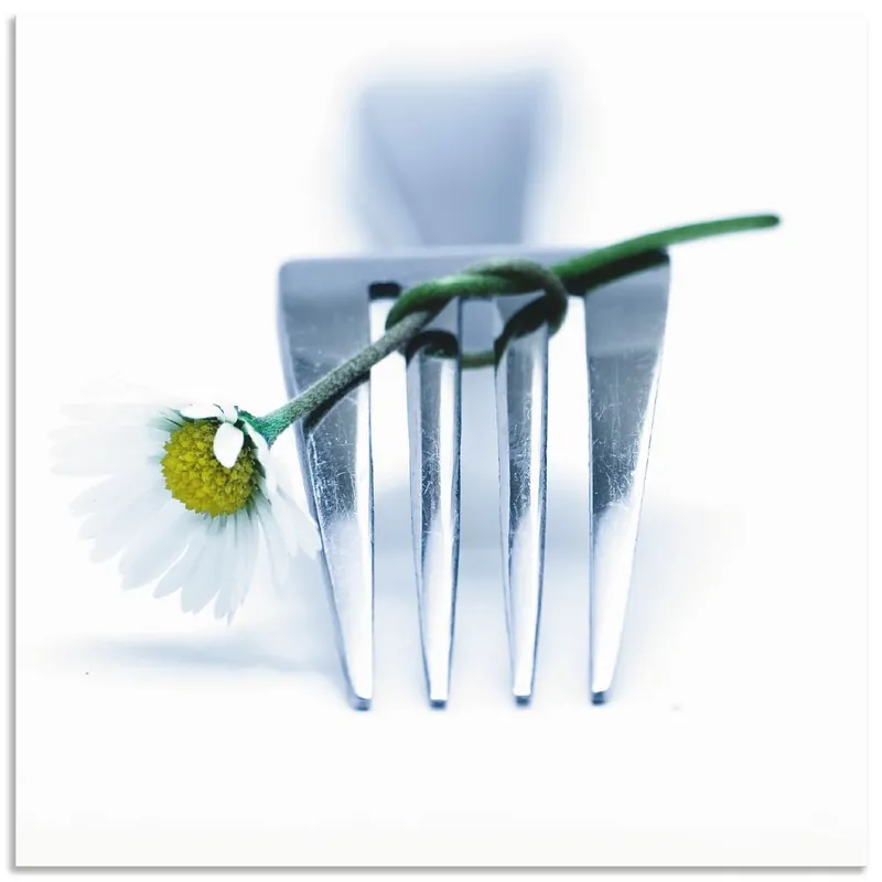 Gabel und Blume T5VS Wandbild Top-Angebot