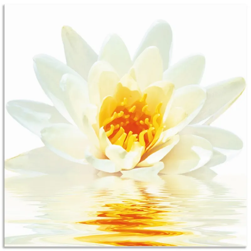 Ausverkauf Lotusblume schwimmt im Wasser T5QO Wandbild
