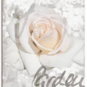 Rose T5GH Wandbild Direktkauf