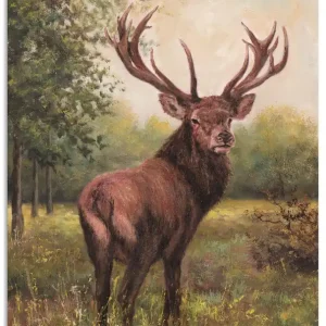 Hirsch T4DI Wandbild Neu