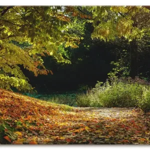 Schnäppchen Herbstteppich Q4IK Wandbild