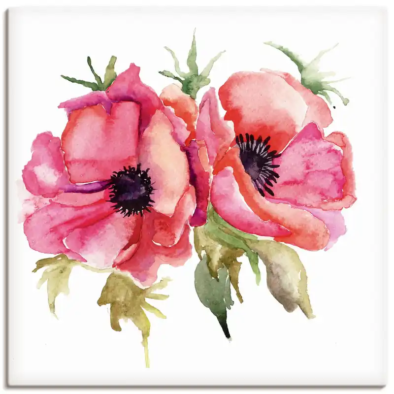 Top-Seller Mohnblumen S9HU Wandbild