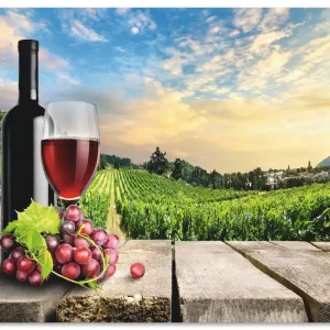 Sale Wein vor Weinbergen T1OS Wandbild