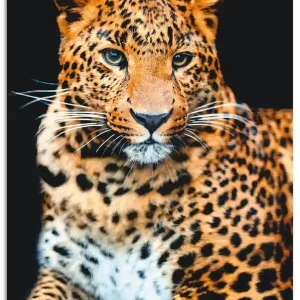 Heißes Angebot Wütender wilder Leopard S7NI Wandbild