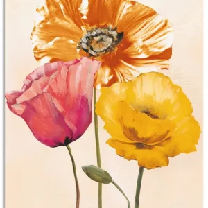 Heißes Angebot Bunte Mohnblumen II T4WD Wandbild