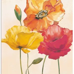 Super-Preis Bunte Mohnblumen I T4WE Wandbild