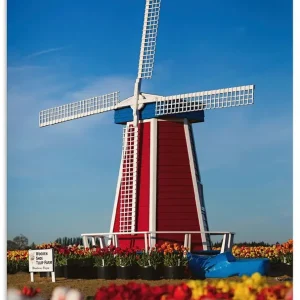 Windmuehle in Zeeland - Niederlande U4NK Wandbild Bestpreis