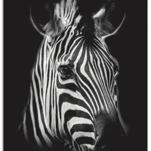 Zebra U1VG Wandbild Kostenloser Versand